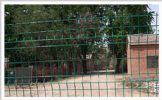 Welded Mesh Panel Fence